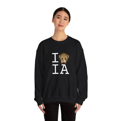 "I Don't Speak about Iowa" Sweatshirt