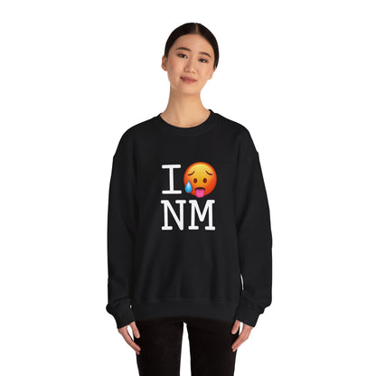 "I'm Hot in New Mexico" Sweatshirt