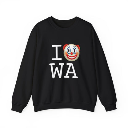 "I Clown on Washington" Sweatshirt
