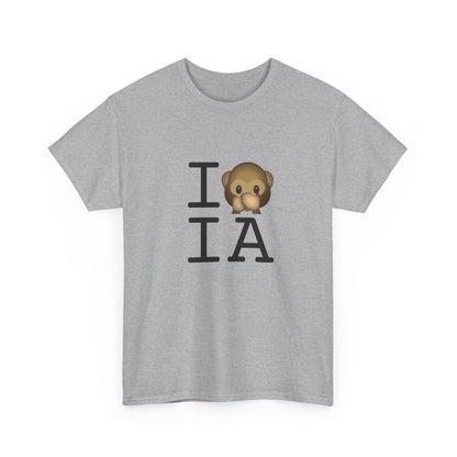 "I Don't Speak about Iowa" Tee