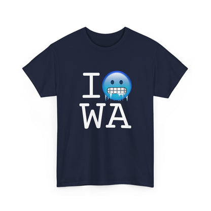 "I'm Cold in Washington" Tee
