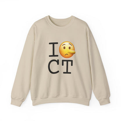 "I Lie about Connecticut" Sweatshirt