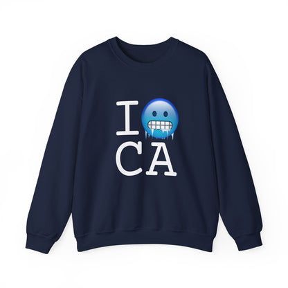 "I'm Cold in California" Sweatshirt