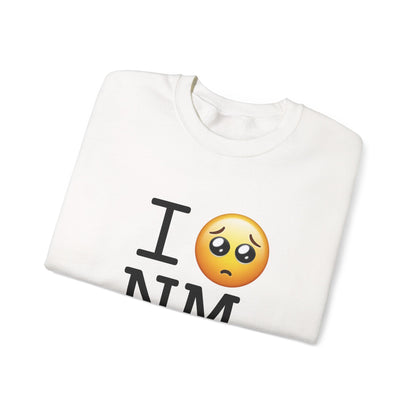 "I'm Begging about New Mexico" Sweatshirt