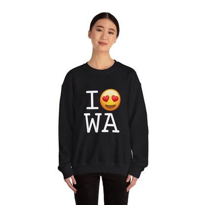 "I have Heart Eyes for Washington" Sweatshirt