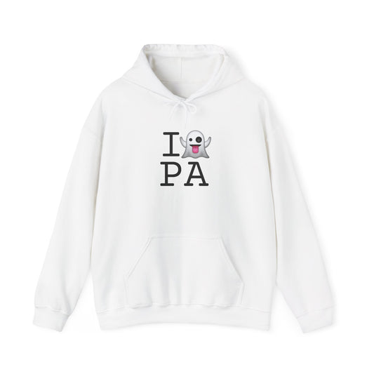 "I'm Ghosting Pennsylvania" Hoodie