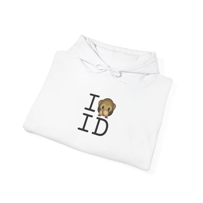"I Don't Speak about Idaho" Hoodie