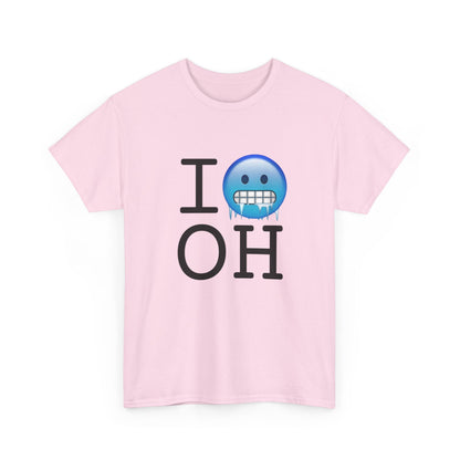 "I'm Cold in Ohio" Tee