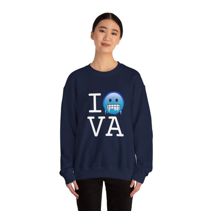 "I'm Cold in Virginia" Sweatshirt