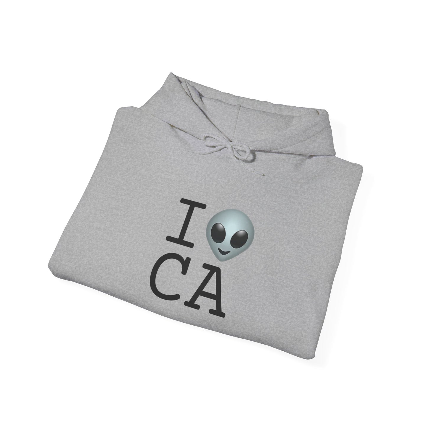 "I Feel Alien in California" Hoodie
