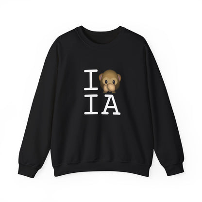"I Don't Speak about Iowa" Sweatshirt