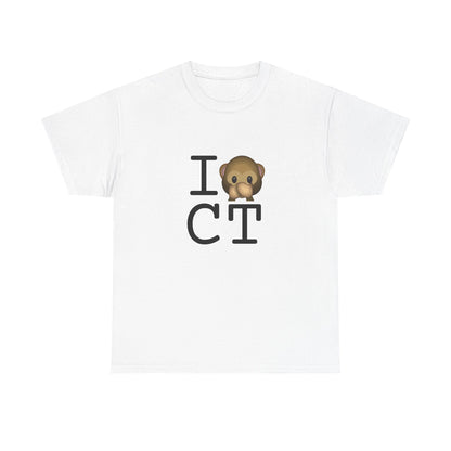 "I Don't Speak about Connecticut" Tee