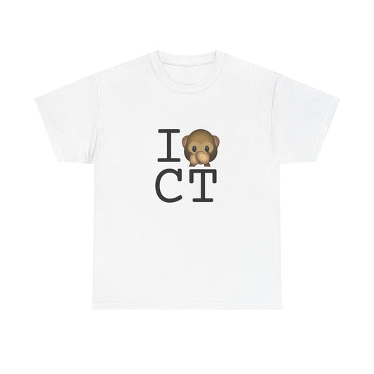"I Don't Speak about Connecticut" Tee
