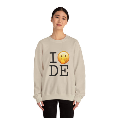 "I Messed Up (Oops) in Delaware" Sweatshirt