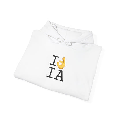 "I'm OK with Iowa" Hoodie