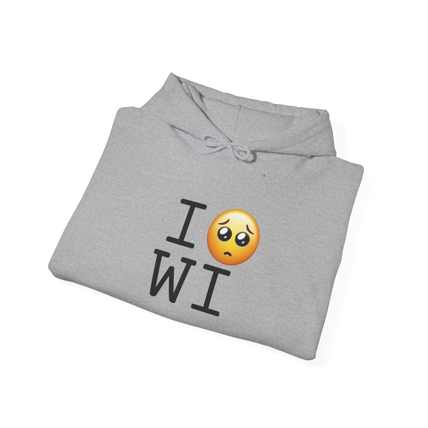 "I'm Begging about Wisconsin" Hoodie