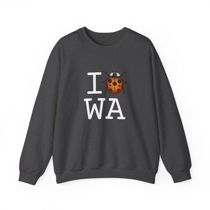 "I Ladybug Washington" Sweatshirt