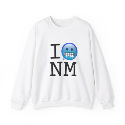 "I'm Cold in New Mexico" Sweatshirt