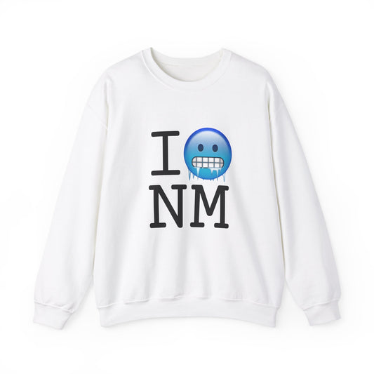 "I'm Cold in New Mexico" Sweatshirt