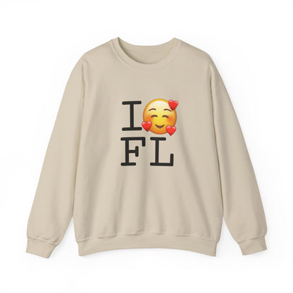 "I Adore Florida" Sweatshirt