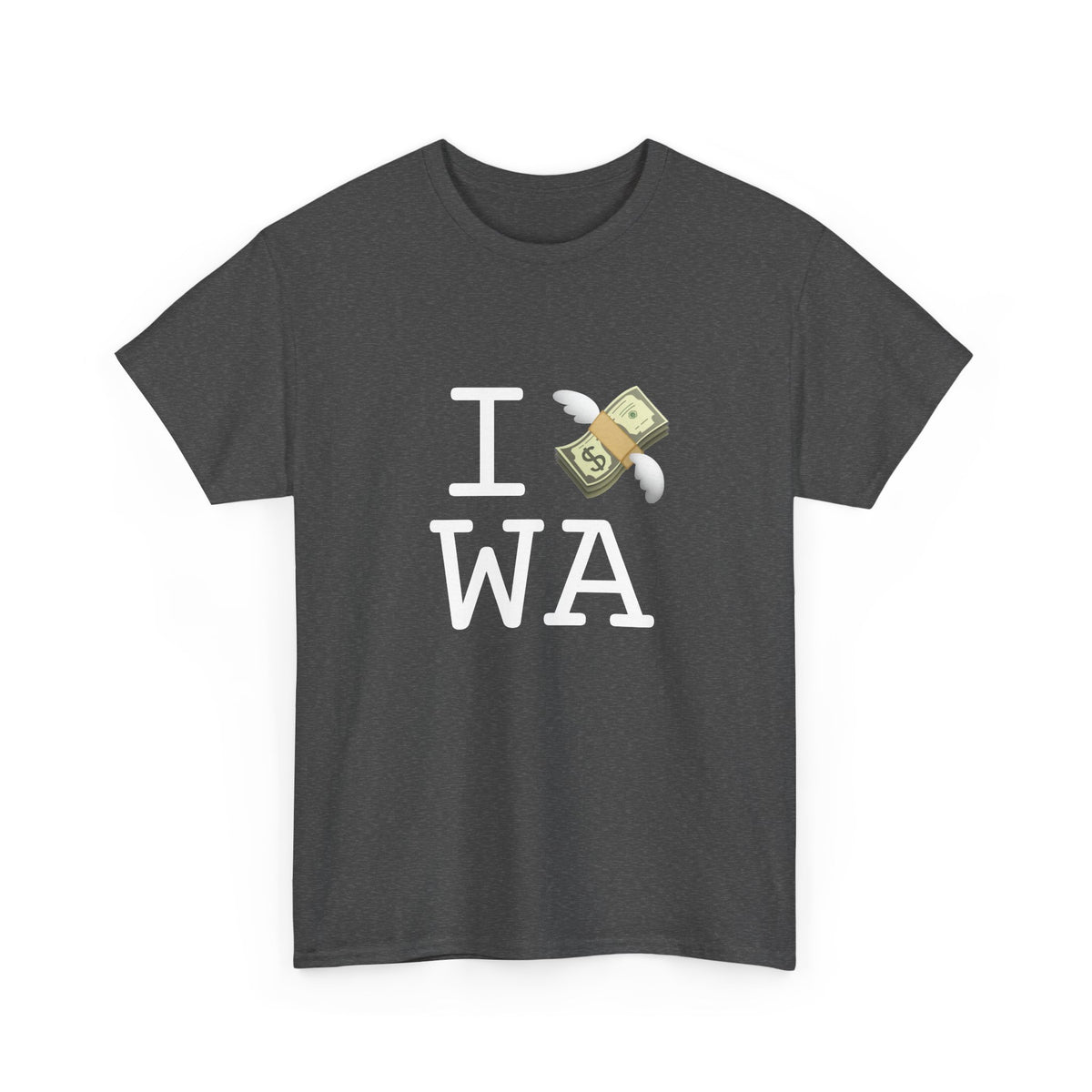 "I Lose Money in Washington" Tee