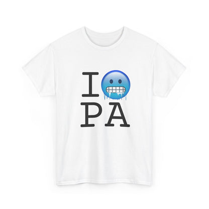 "I'm Cold in Pennsylvania" Tee