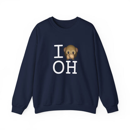 "I Don't Speak about Ohio" Sweatshirt