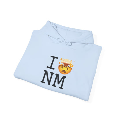 "I'm Mind Blown by New Mexico" Hoodie