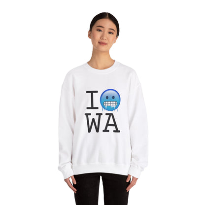 "I'm Cold in Washington" Sweatshirt