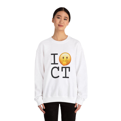 "I Messed Up (Oops) in Connecticut" Sweatshirt