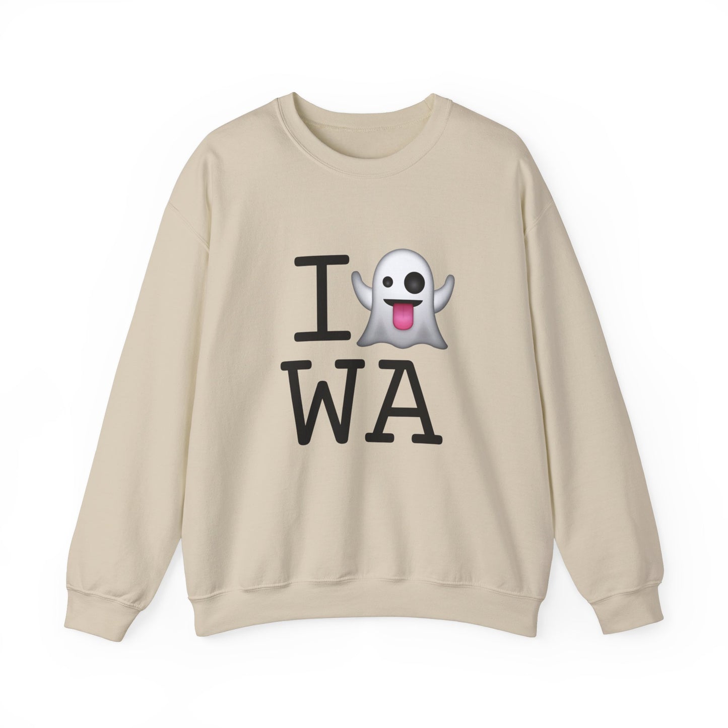 "I'm Ghosting Washington" Sweatshirt