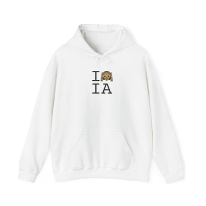 "I Don't Hear Iowa" Hoodie