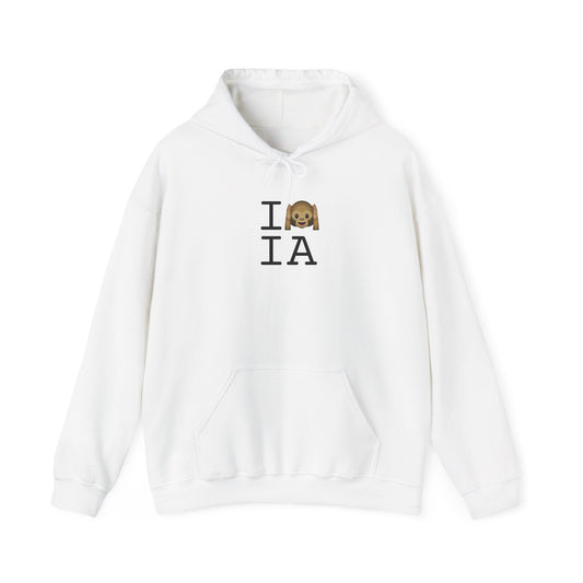 "I Don't Hear Iowa" Hoodie