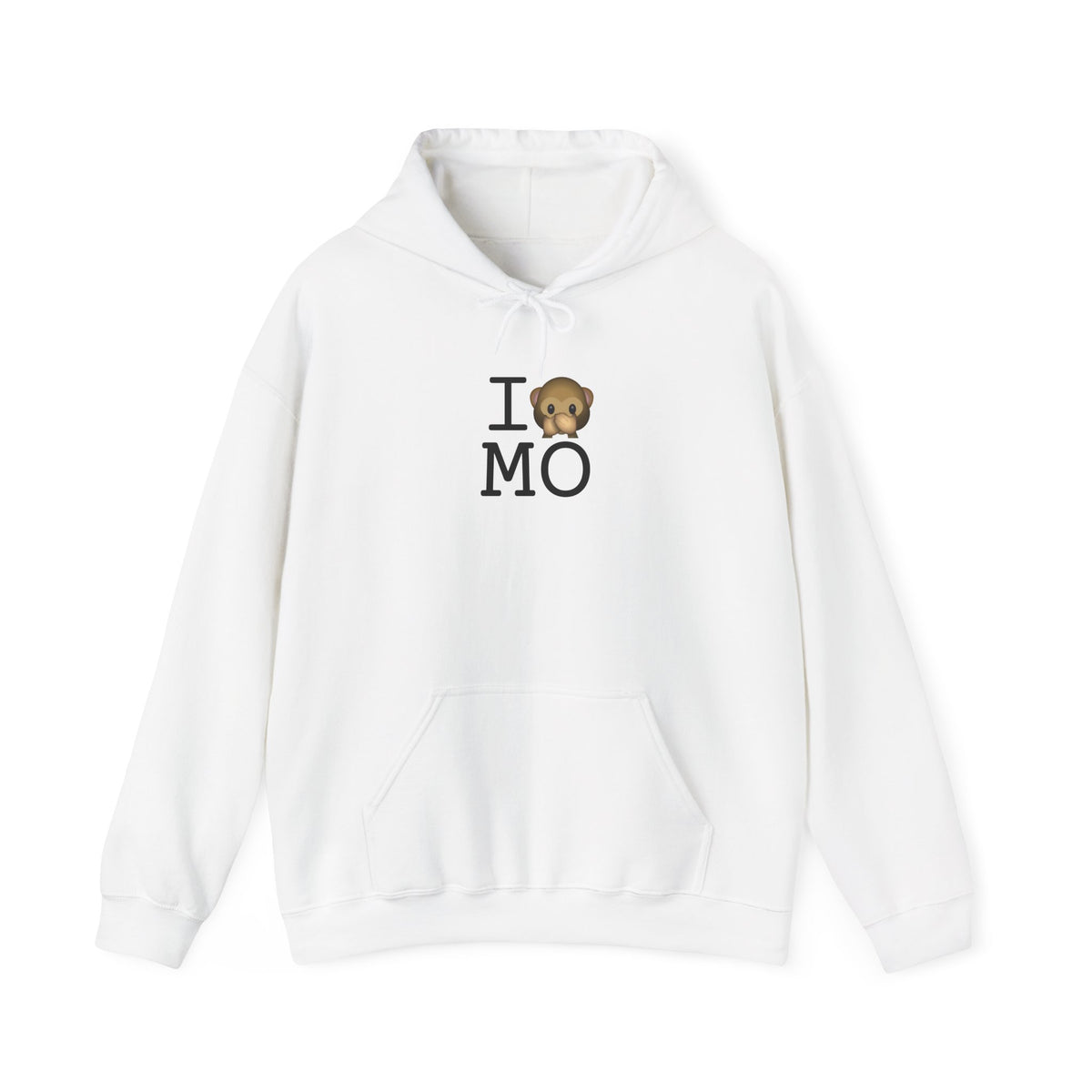 "I Don't Speak about Missouri" Hoodie
