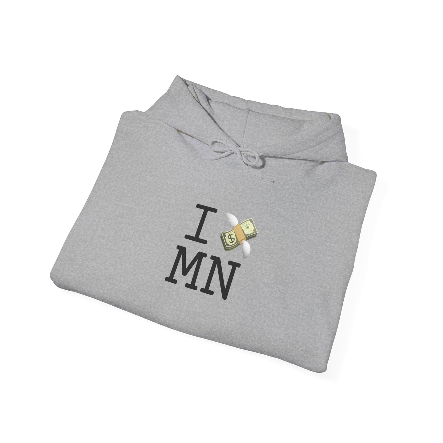 "I Lose Money in Minnesota" Hoodie
