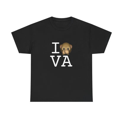 "I Don't Speak about Virginia" Tee