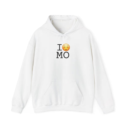 "I Blush at Missouri" Hoodie