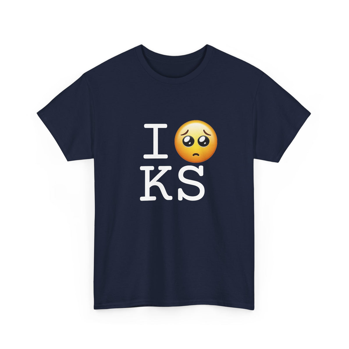 "I'm Begging about Kansas" Tee