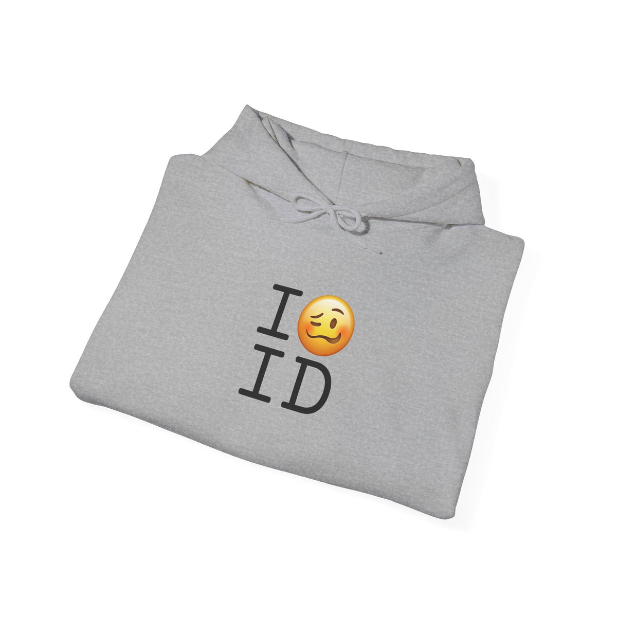 "I'm Drunk in Idaho" Hoodie