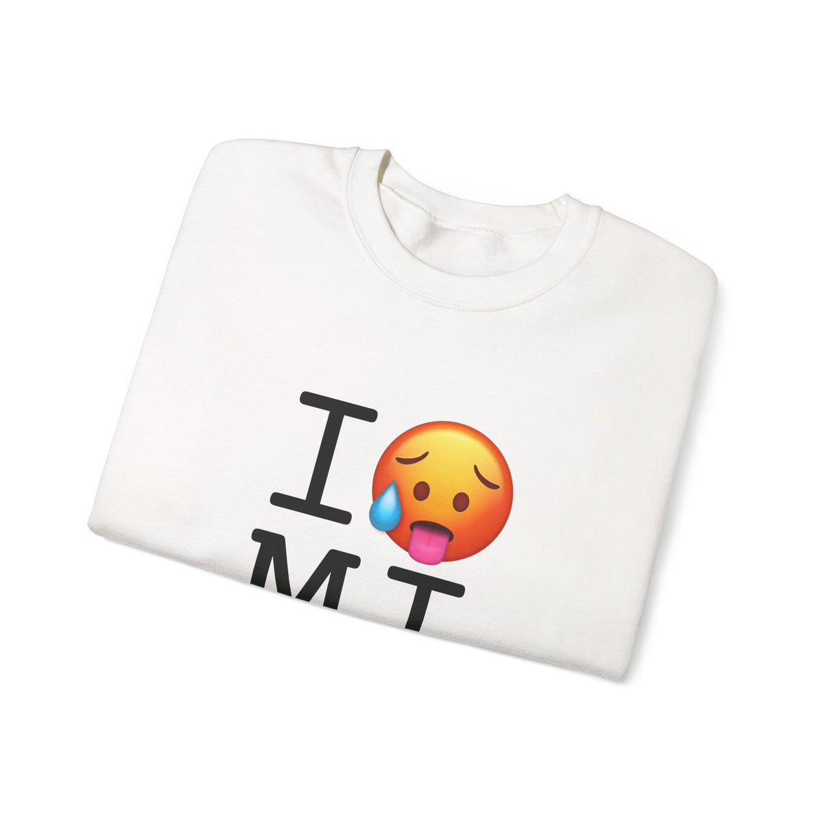 "I'm Hot in Michigan" Sweatshirt