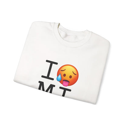 "I'm Hot in Michigan" Sweatshirt