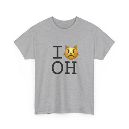 "I'm a Pouting Cat about Ohio" Tee