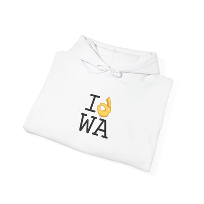 "I'm OK with Washington" Hoodie