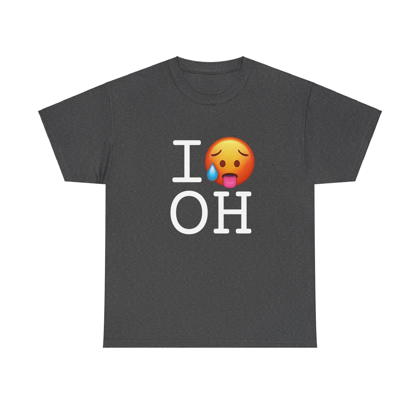 "I'm Hot in Ohio" Tee