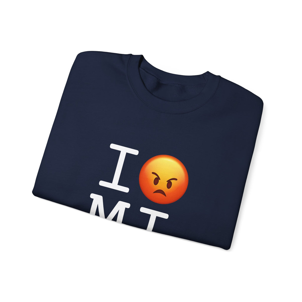 "I'm Angry about Michigan" Sweatshirt