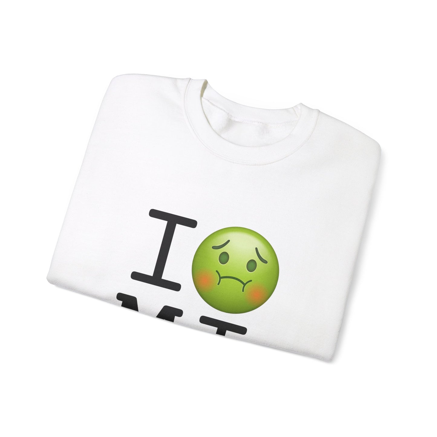 "I'm Nauseous about Michigan" Sweatshirt