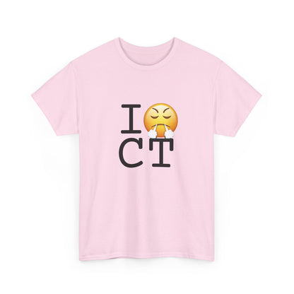 "I'm Furious about Connecticut" Tee