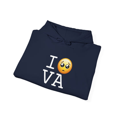 "I'm Begging about Virginia" Hoodie