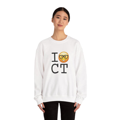 "I'm a Nerd about Connecticut" Sweatshirt