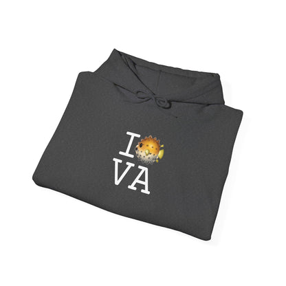 "I Blowfish in Virginia" Hoodie